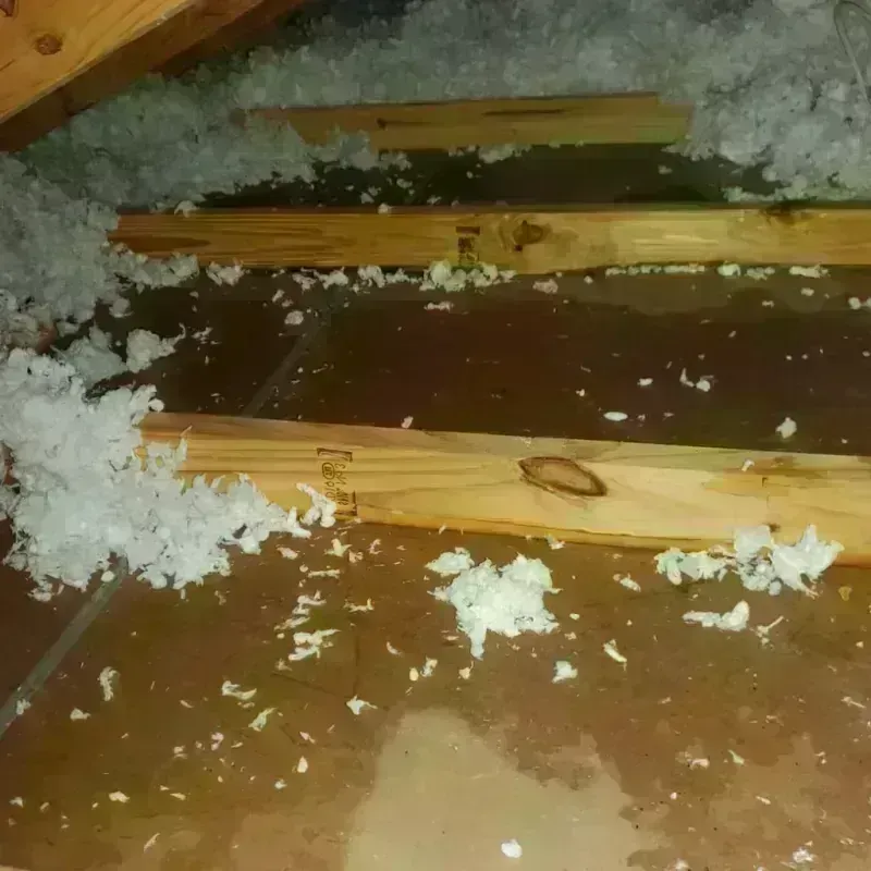 Attic Water Damage in Lake City, FL