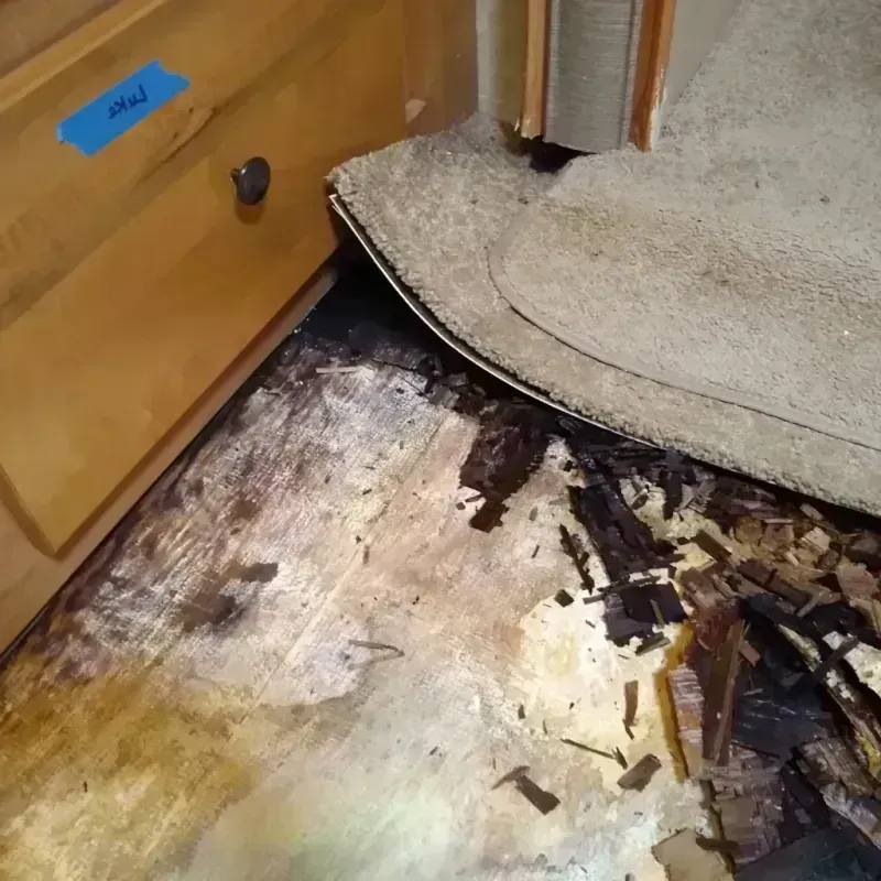 Wood Floor Water Damage in Lake City, FL